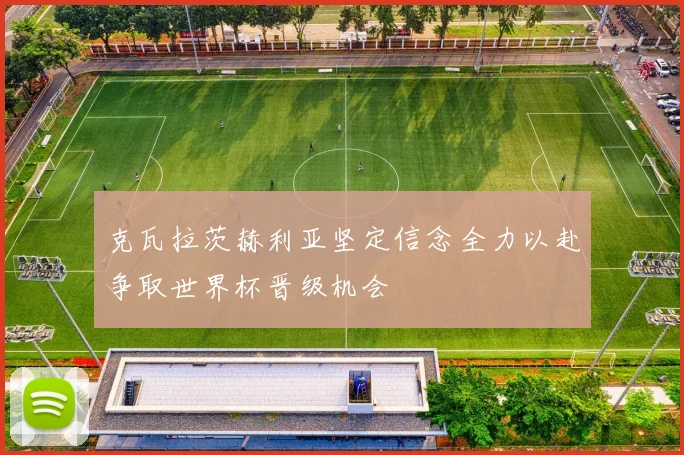 克瓦拉茨赫利亚坚定信念全力以赴争取世界杯晋级机会